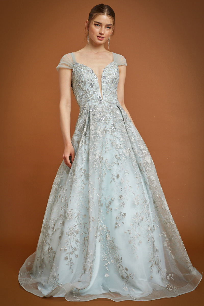 Off Shoulder V Neck  Embroidery Ball Gown